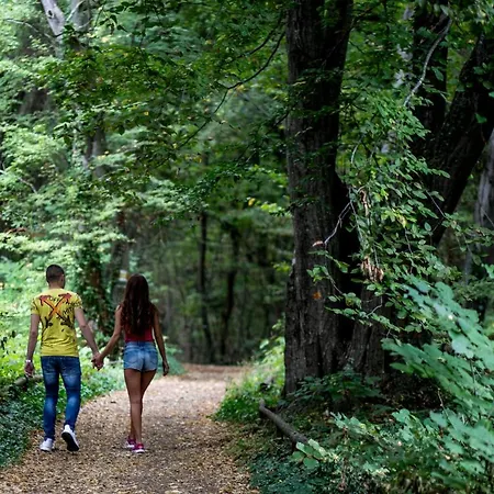 Готель Lilia 4*